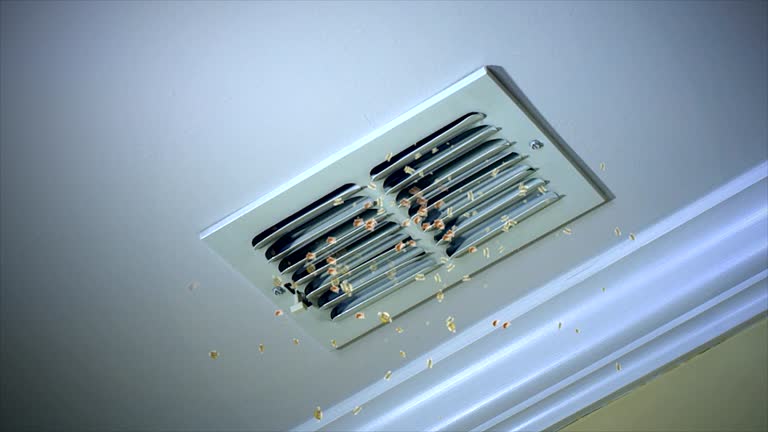 Best Emergency Air Duct Cleaning  in Walthourville, GA