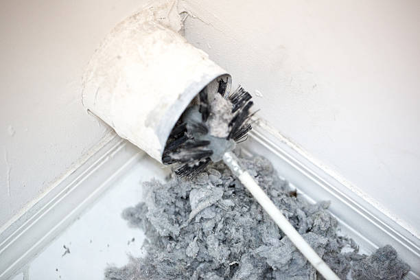 Best Dryer Vent Cleaning Services  in Walthourville, GA